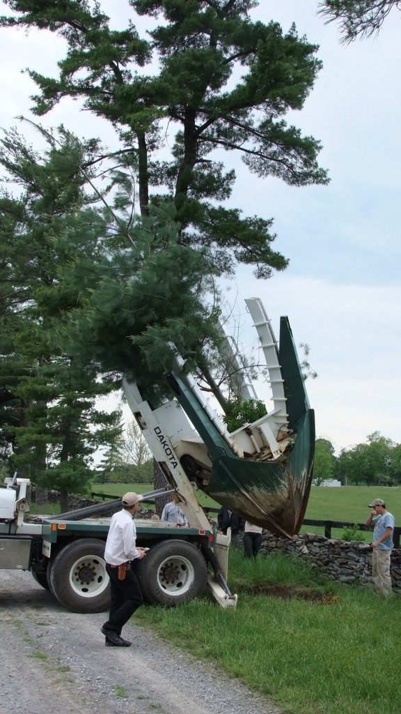 Blandy Experimental Farm Tree Spade Move